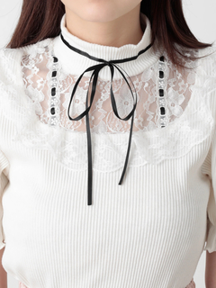 ハシゴレーストップス