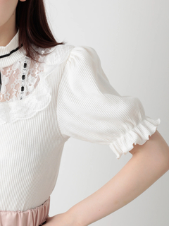 ハシゴレーストップス