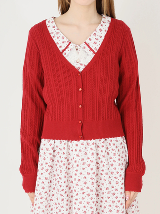 透かし編みVネックカーディガン - Ank Rouge(アンクルージュ)の