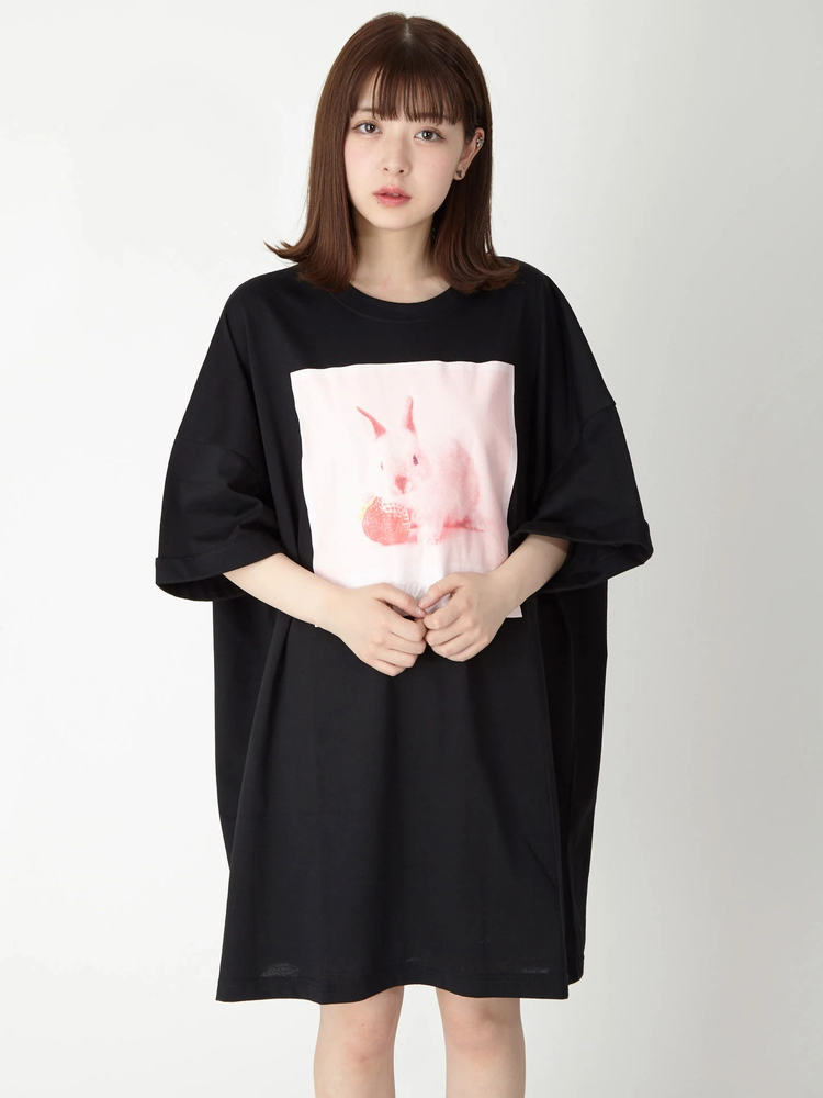 【良好品】 ウサギプリントBigTe - Ank Rouge(アンクルージュ)のTシャツ トップス