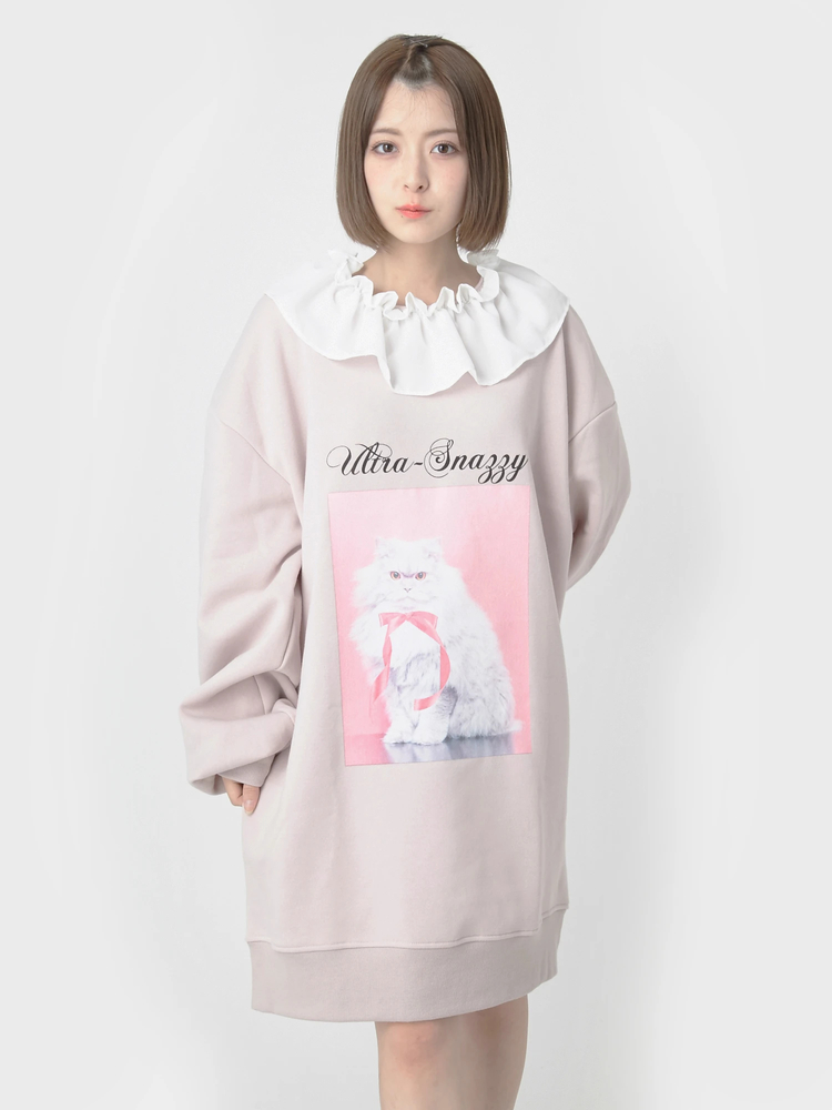 ネコプルオーバー - Ank Rouge(アンクルージュ)のTシャツ・カットソー