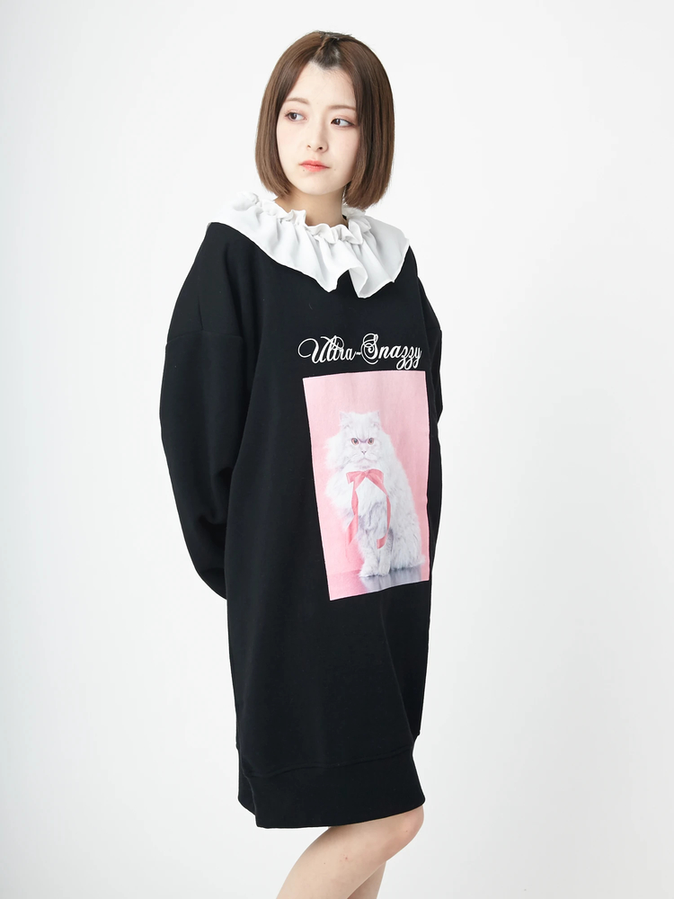 ネコプルオーバー - Ank Rouge(アンクルージュ)のTシャツ・カットソー