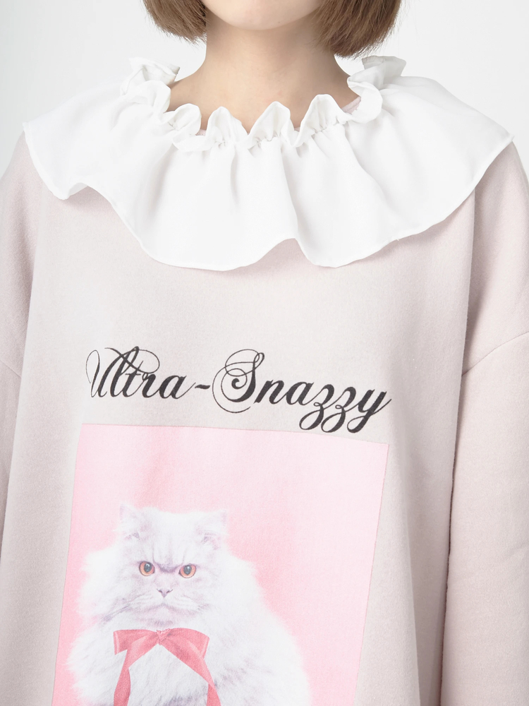 ネコプルオーバー - Ank Rouge(アンクルージュ)のTシャツ・カットソー