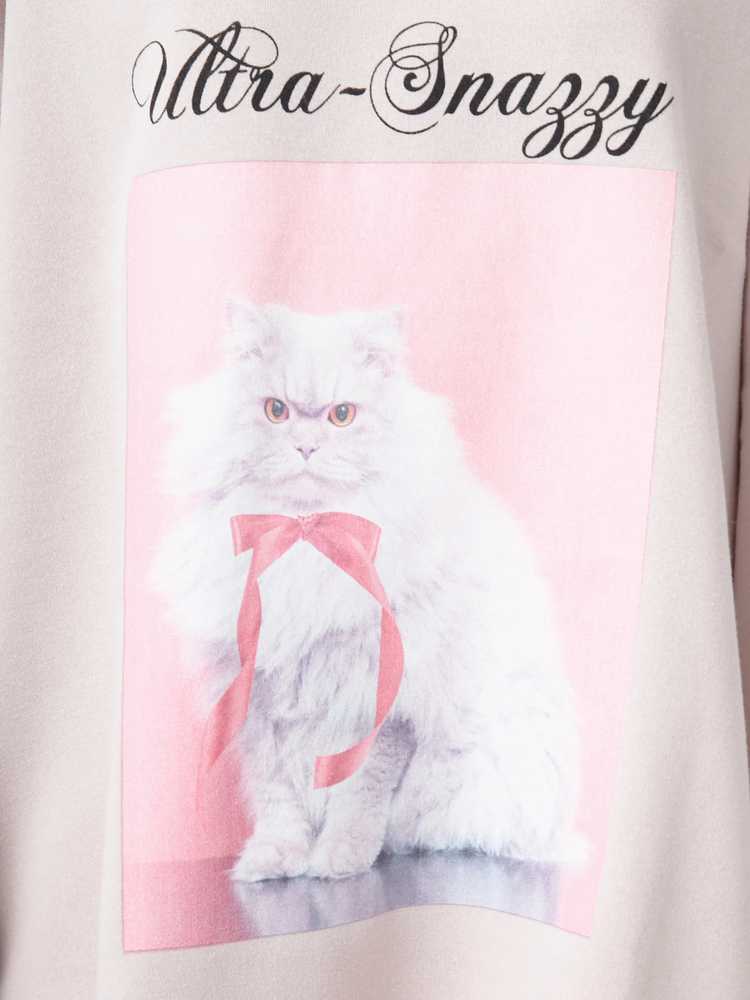 ネコプルオーバー - Ank Rouge(アンクルージュ)のTシャツ・カットソー