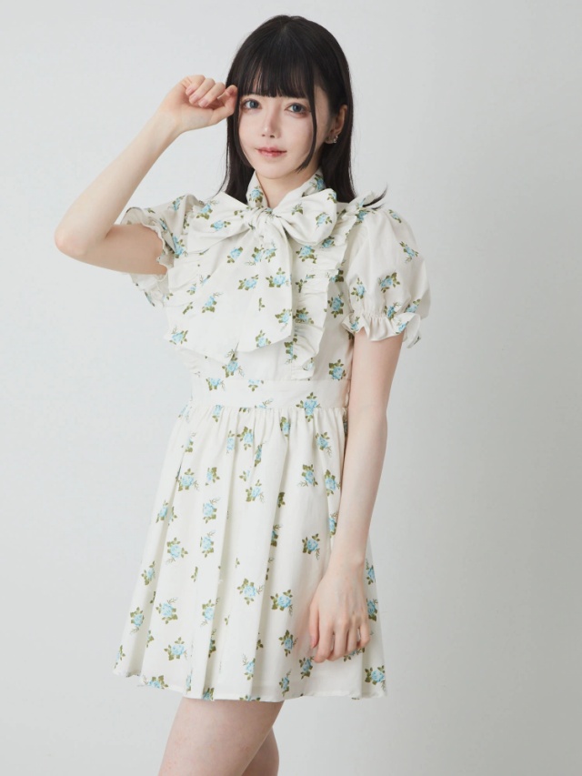 ビンテージローズプリントワンピース - Ank Rouge(アンクルージュ)の  