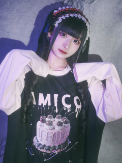 ケーキプリントロンTE