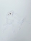 ホワイト