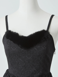 フロントファージャガードOP