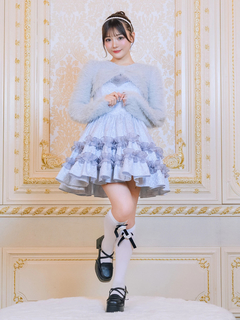 フロントファージャガードOP