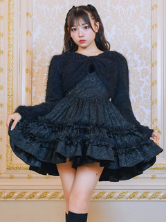 フロントファージャガードOP