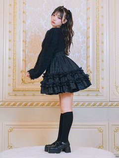 フロントファージャガードOP