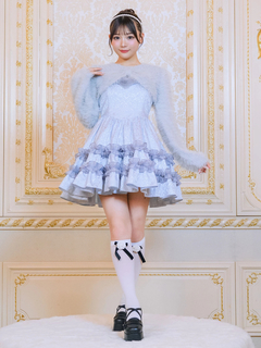 フロントファージャガードOP